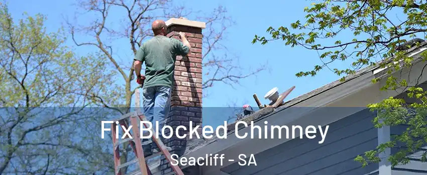  Fix Blocked Chimney Seacliff - SA