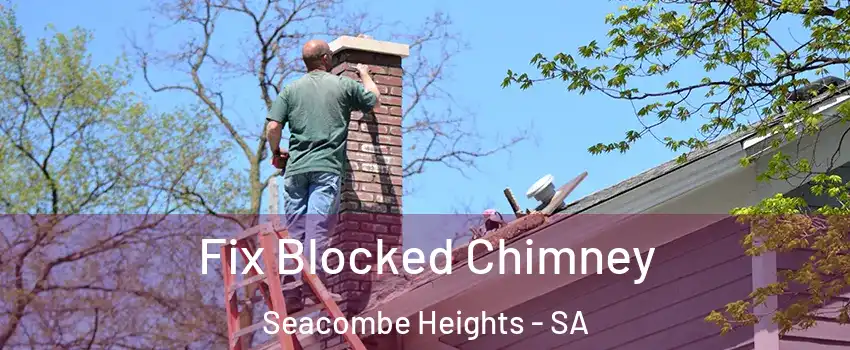  Fix Blocked Chimney Seacombe Heights - SA