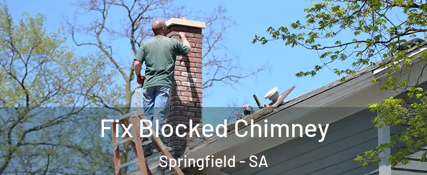  Fix Blocked Chimney Springfield - SA