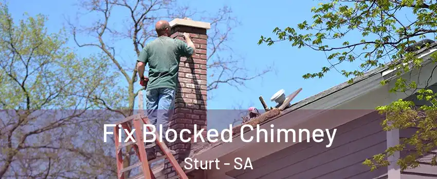  Fix Blocked Chimney Sturt - SA