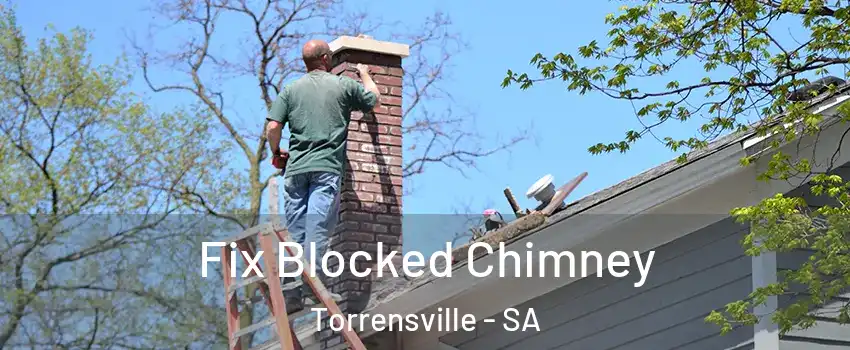  Fix Blocked Chimney Torrensville - SA