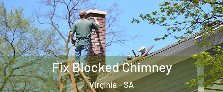 Fix Blocked Chimney Virginia - SA