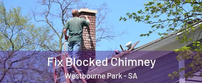  Fix Blocked Chimney Westbourne Park - SA