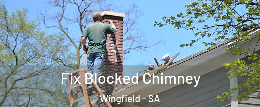  Fix Blocked Chimney Wingfield - SA