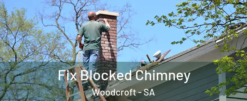  Fix Blocked Chimney Woodcroft - SA