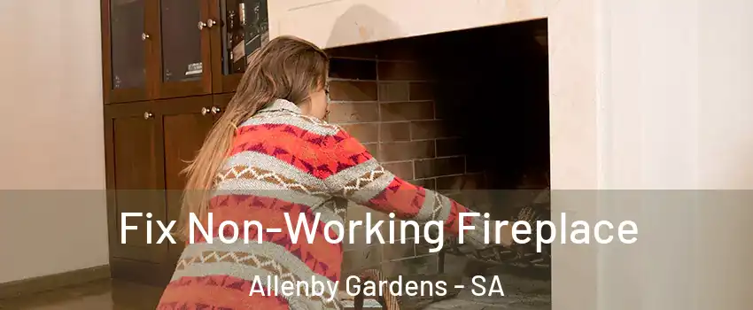 Fix Non-Working Fireplace Allenby Gardens - SA