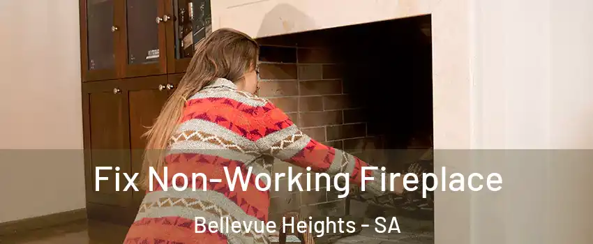 Fix Non-Working Fireplace Bellevue Heights - SA
