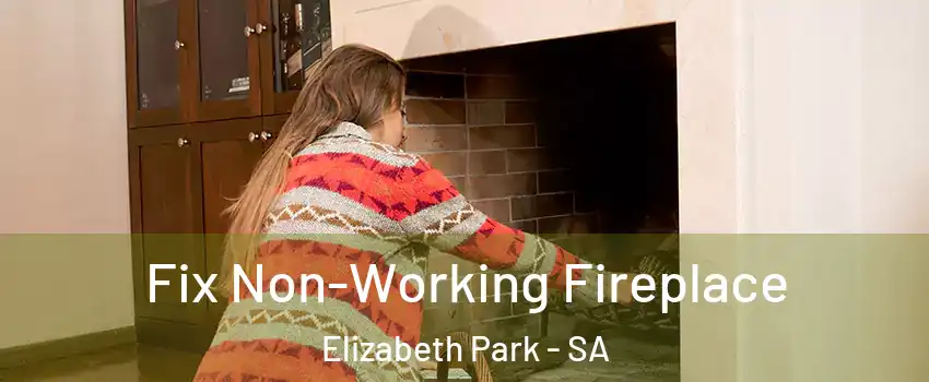 Fix Non-Working Fireplace Elizabeth Park - SA