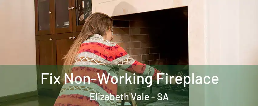 Fix Non-Working Fireplace Elizabeth Vale - SA