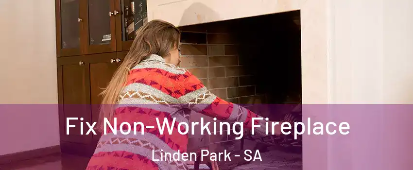  Fix Non-Working Fireplace Linden Park - SA