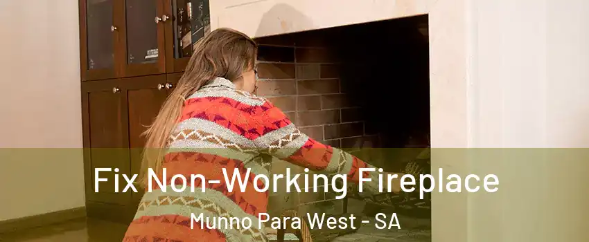 Fix Non-Working Fireplace Munno Para West - SA