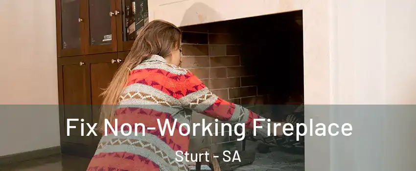 Fix Non-Working Fireplace Sturt - SA