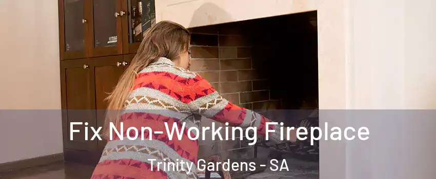 Fix Non-Working Fireplace Trinity Gardens - SA