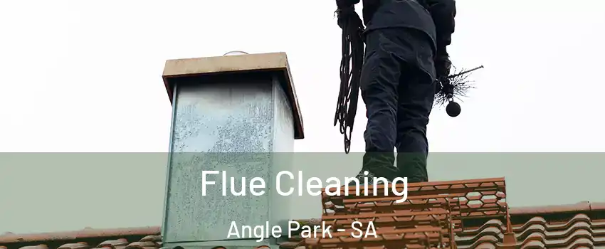  Flue Cleaning Angle Park - SA