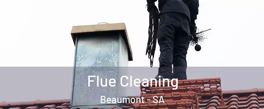 Flue Cleaning Beaumont - SA
