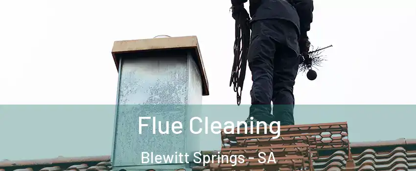 Flue Cleaning Blewitt Springs - SA