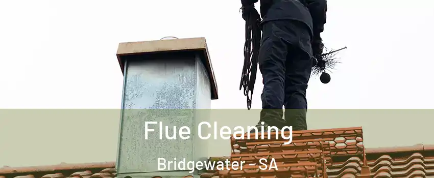  Flue Cleaning Bridgewater - SA