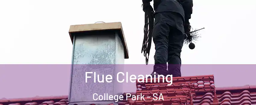 Flue Cleaning College Park - SA