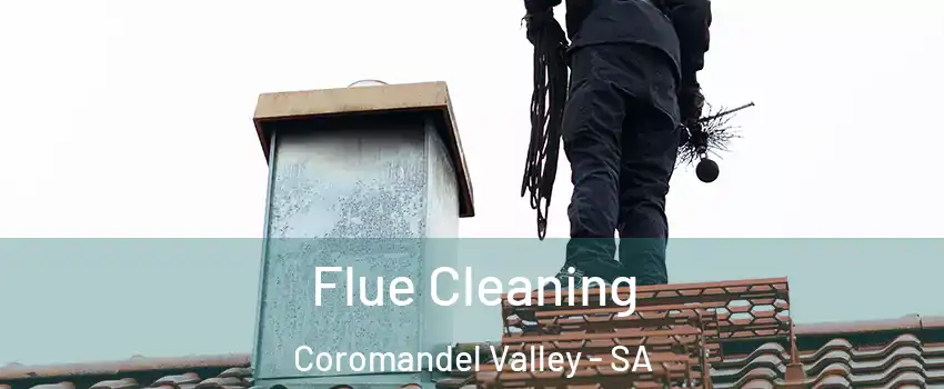 Flue Cleaning Coromandel Valley - SA