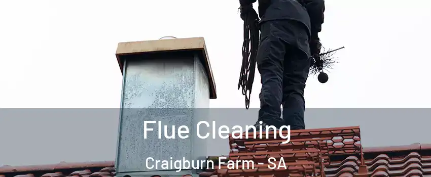 Flue Cleaning Craigburn Farm - SA