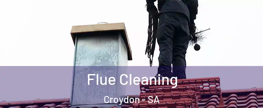  Flue Cleaning Croydon - SA
