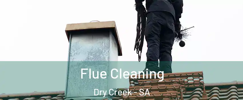 Flue Cleaning Dry Creek - SA