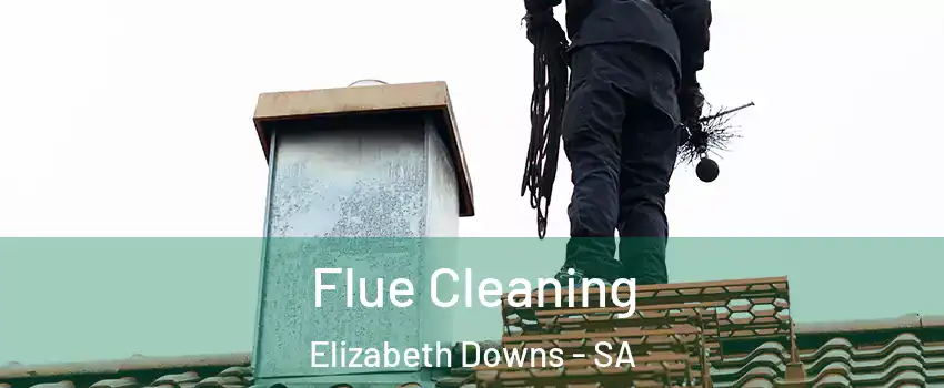 Flue Cleaning Elizabeth Downs - SA