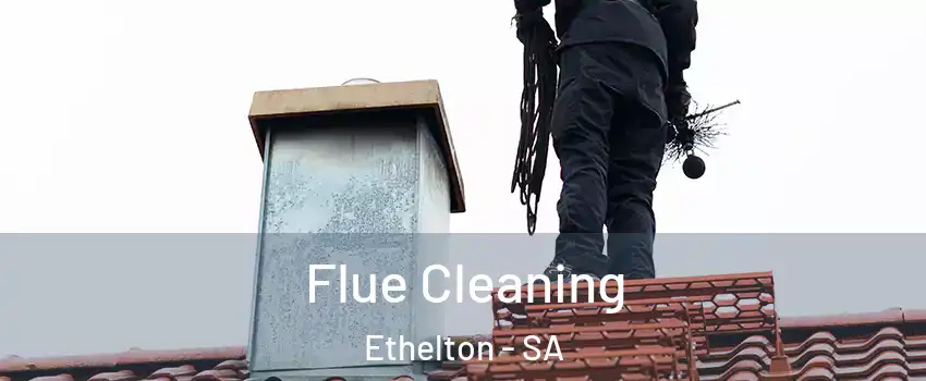 Flue Cleaning Ethelton - SA