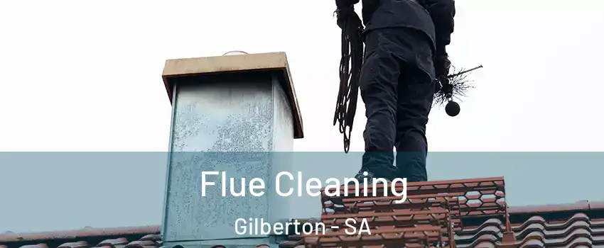 Flue Cleaning Gilberton - SA