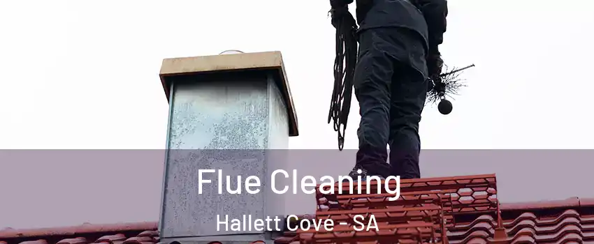 Flue Cleaning Hallett Cove - SA