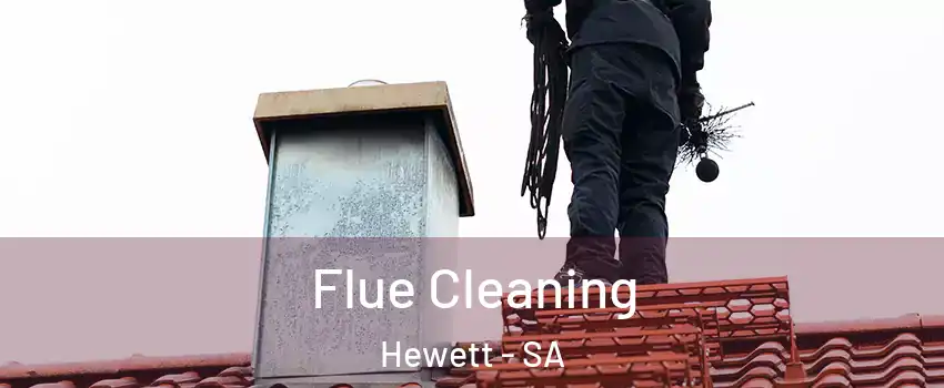 Flue Cleaning Hewett - SA