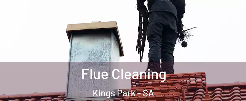  Flue Cleaning Kings Park - SA