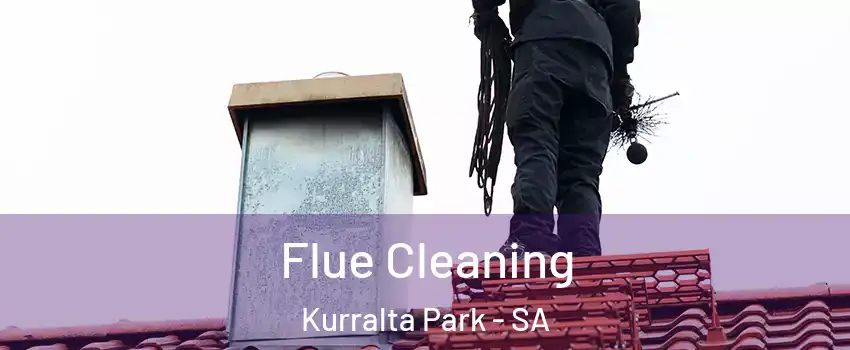  Flue Cleaning Kurralta Park - SA