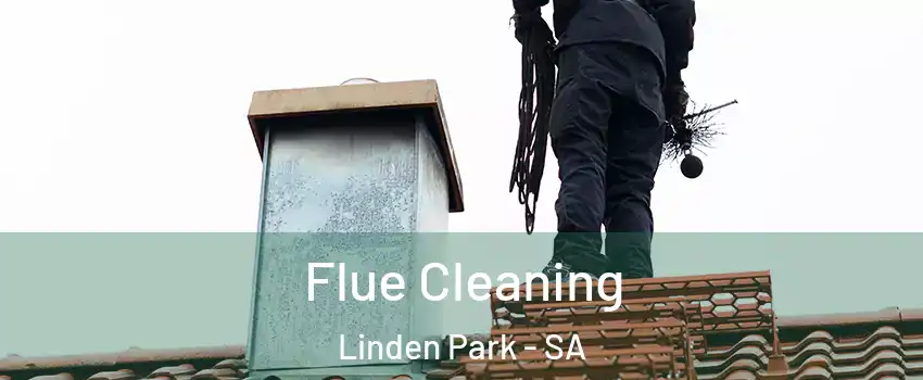  Flue Cleaning Linden Park - SA