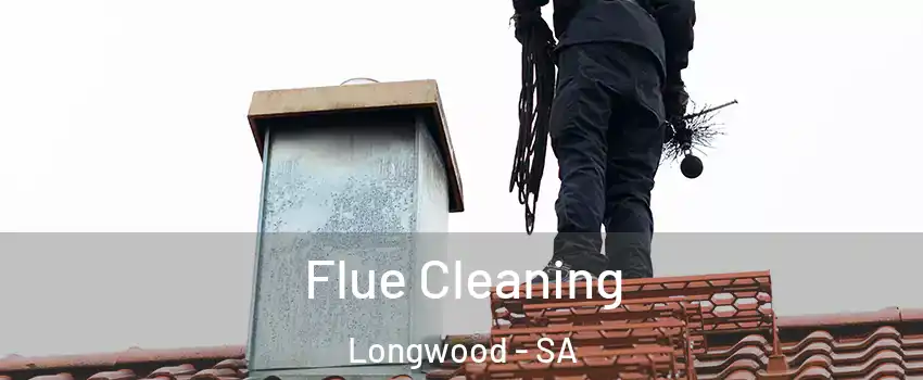  Flue Cleaning Longwood - SA