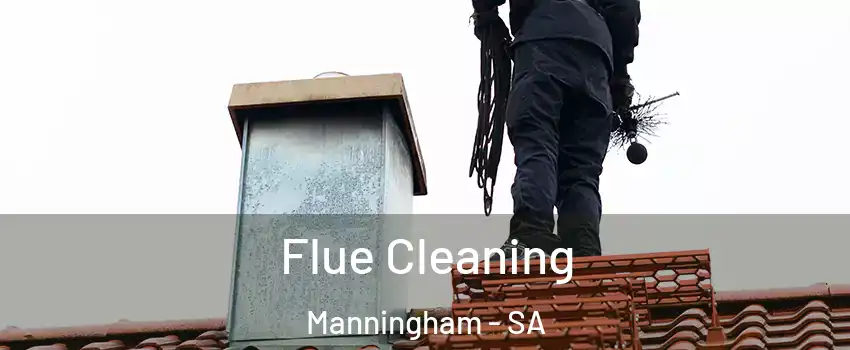  Flue Cleaning Manningham - SA