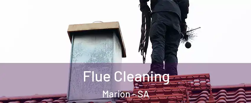 Flue Cleaning Marion - SA