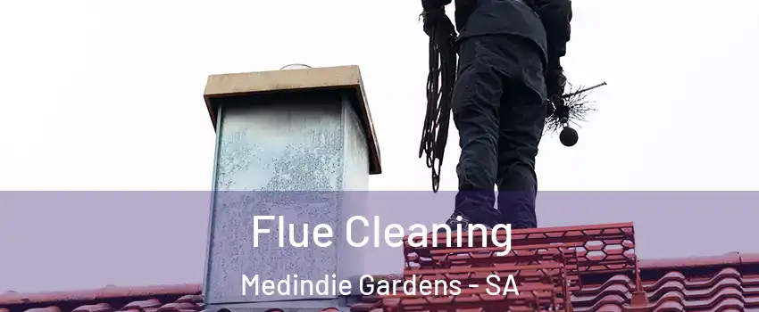  Flue Cleaning Medindie Gardens - SA