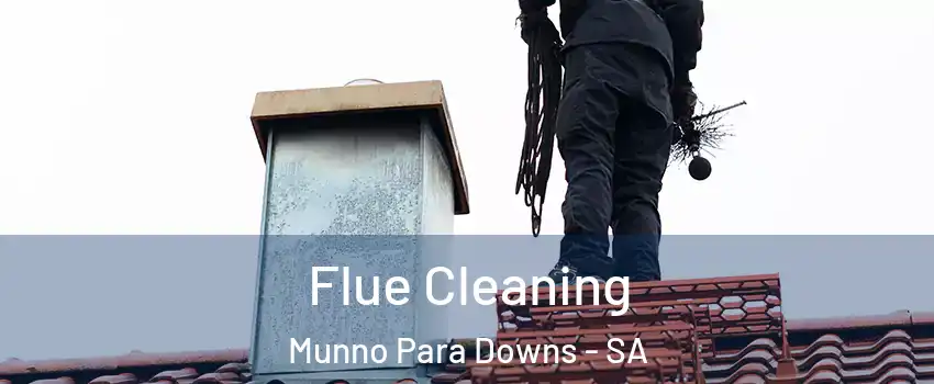  Flue Cleaning Munno Para Downs - SA