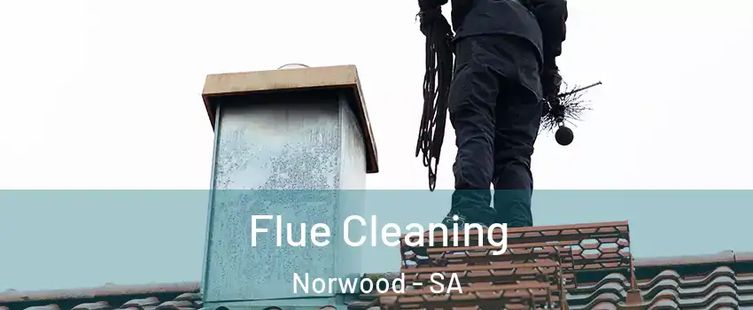  Flue Cleaning Norwood - SA