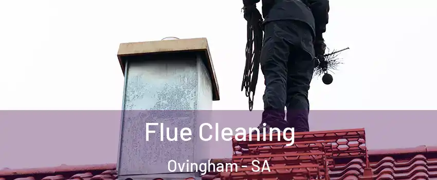  Flue Cleaning Ovingham - SA