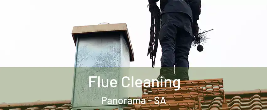  Flue Cleaning Panorama - SA