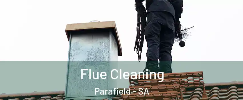  Flue Cleaning Parafield - SA