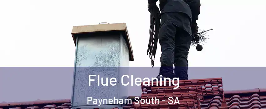  Flue Cleaning Payneham South - SA