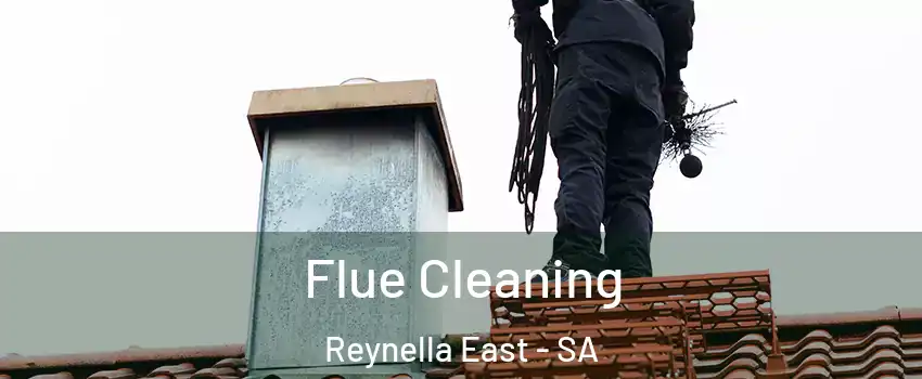  Flue Cleaning Reynella East - SA