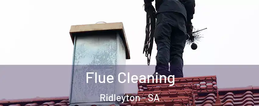  Flue Cleaning Ridleyton - SA