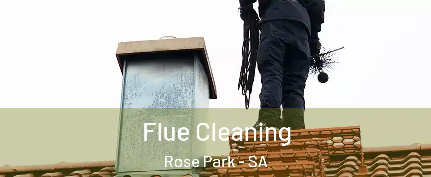  Flue Cleaning Rose Park - SA