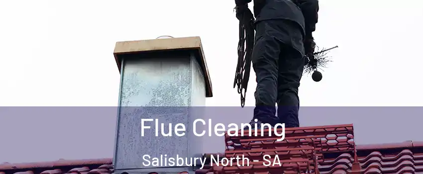  Flue Cleaning Salisbury North - SA