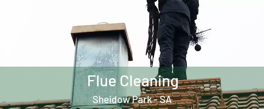  Flue Cleaning Sheidow Park - SA