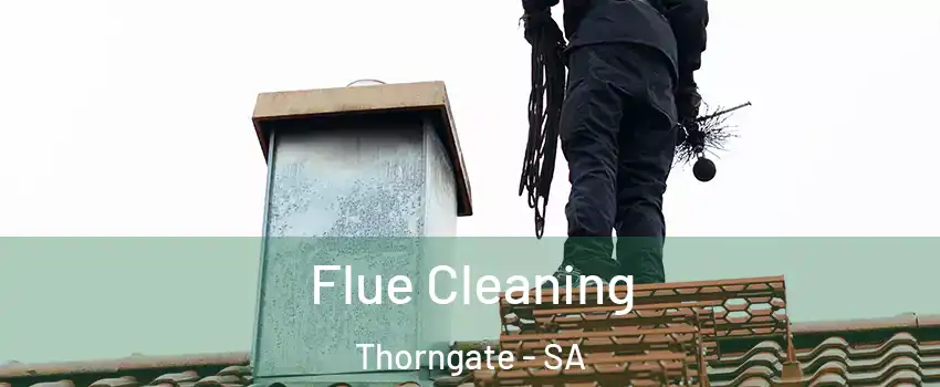 Flue Cleaning Thorngate - SA